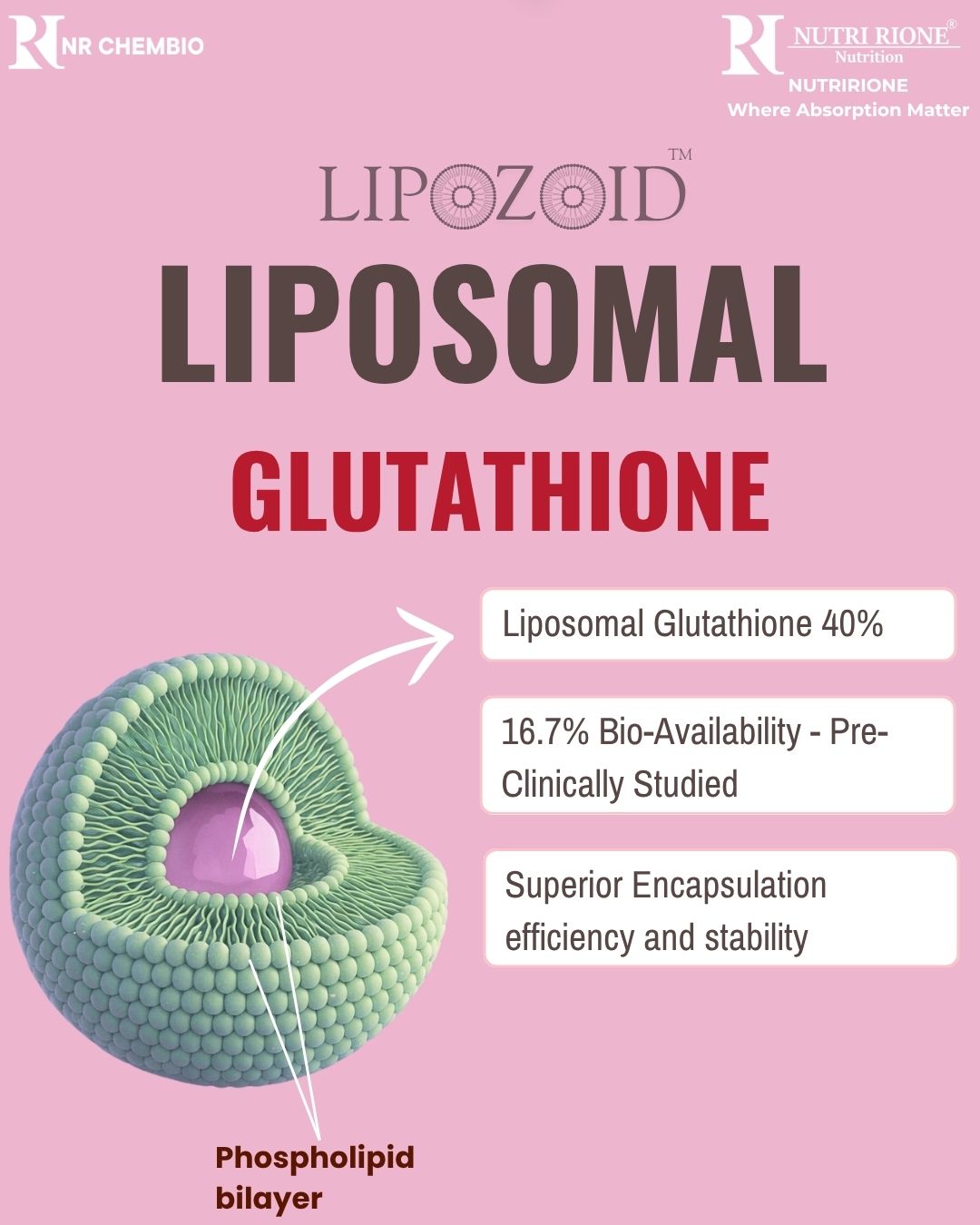 liposomal glutathione bioavailability studies Liposomal Supplements: Liquid vs. Powder – Which Packs a Bigger Punch? main image 0