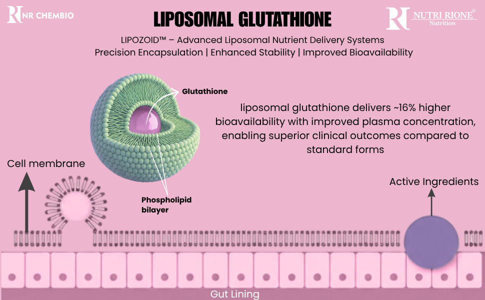 apex liposomal glutathione Nutri Rione Liposomal Glutathione Veg Capsules – Encapsulated Technology  for Enhanced Bioavailability | Antioxidant Support - Liposomal &  Microencapsulation Nutraceutical Manufacturer India